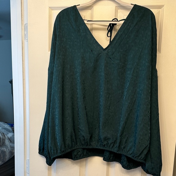 Lane Bryant Tops - Lane Bryant Teal V-Neck Blouse